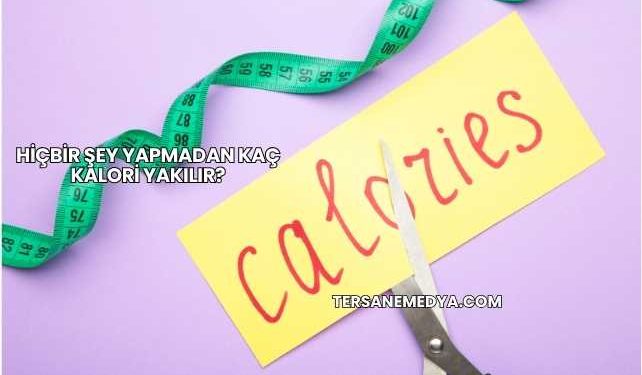 Hiçbir Şey Yapmadan Kaç Kalori Yakılır?