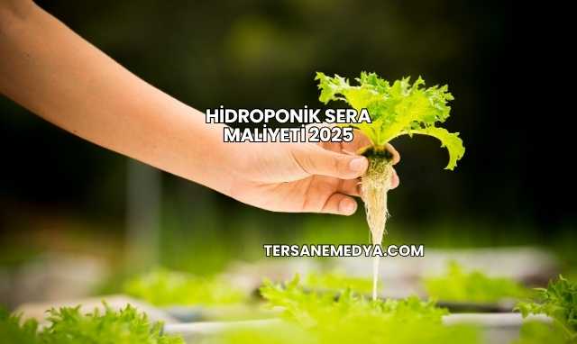 Hidroponik Sera Maliyeti 2025