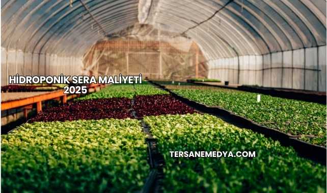 Hidroponik Sera Maliyeti 2025