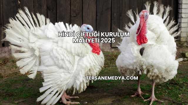 Hindi Çiftliği Kurulum Maliyeti 2025