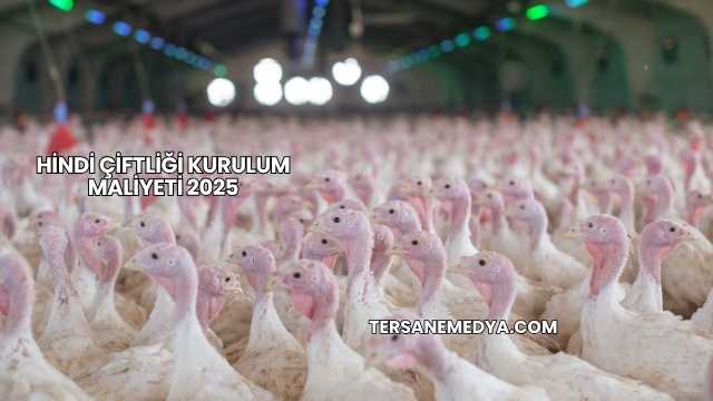 Hindi Çiftliği Kurulum Maliyeti 2025
