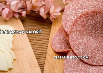 Hindi Salam Kaç Kalori?