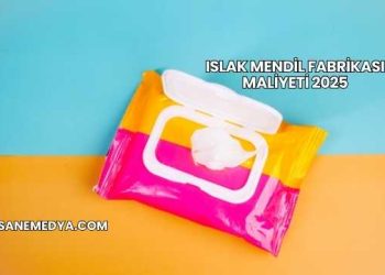 Islak Mendil Fabrikası Maliyeti 2025