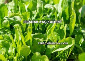 Ispanak Kaç Kalori?