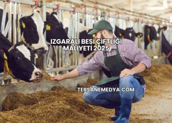 Izgaralı Besi Çiftliği Maliyeti 2025