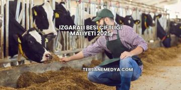 Izgaralı Besi Çiftliği Maliyeti 2025