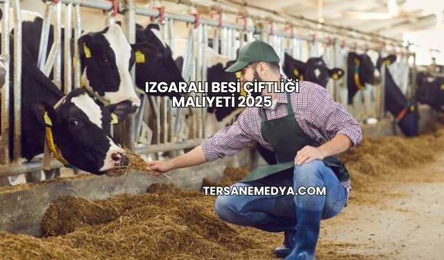 Izgaralı Besi Çiftliği Maliyeti 2025