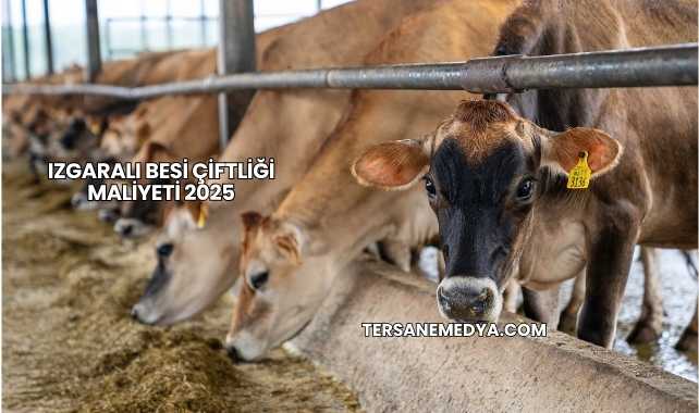 Izgaralı Besi Çiftliği Maliyeti 2025