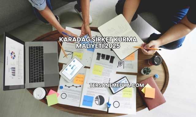 Karadağ Şirket Kurma Maliyeti 2025