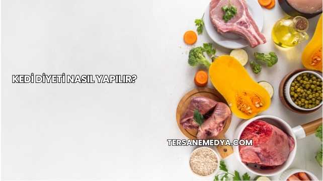 Kedi Diyeti Nasıl Yapılır?