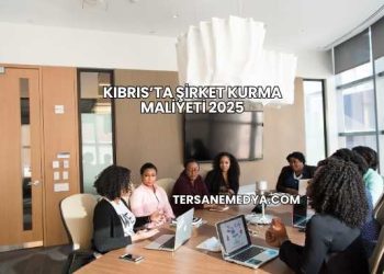 Kıbrıs’ta Şirket Kurma Maliyeti 2025