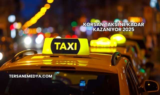 Korsan Taksi Ne Kadar Kazanıyor 2025