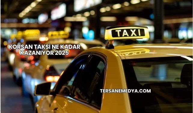 Korsan Taksi Ne Kadar Kazanıyor 2025