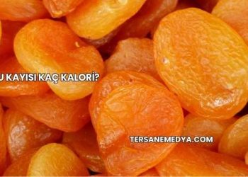 Kuru Kayısı Kaç Kalori?