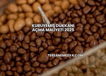 Kuruyemiş Dükkanı Açma Maliyeti 2025