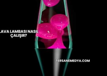 Lava Lambası Nasıl Çalışır?
