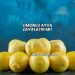 Limonlu Ayva Zayıflatır mı?