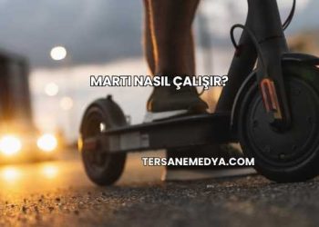 Martı Nasıl Çalışır?