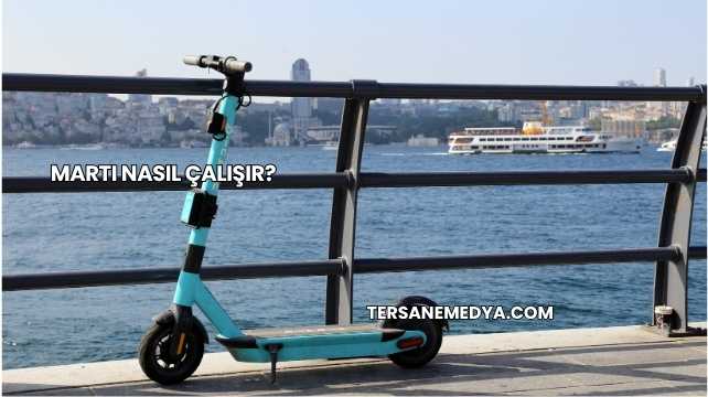 Martı Nasıl Çalışır?
