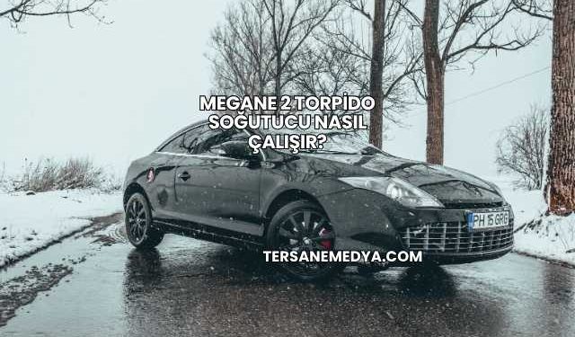 Megane 2 Torpido Soğutucu Nasıl Çalışır?