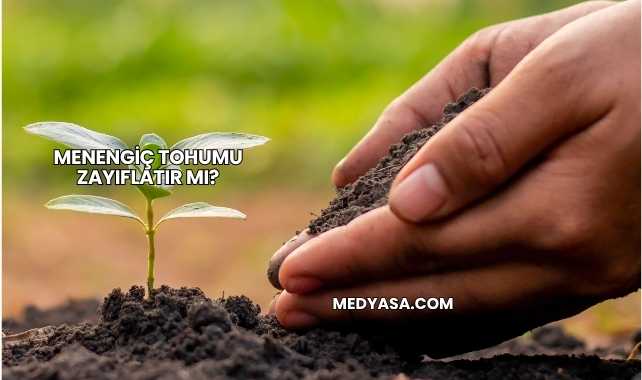 Menengiç Tohumu Zayıflatır mı?