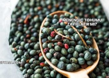 Menengiç Tohumu Zayıflatır mı?