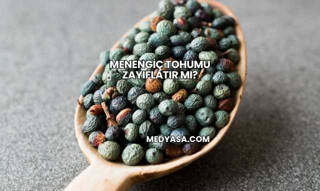 Menengiç Tohumu Zayıflatır mı?