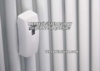 Merkezi Sistem Isı Pay Ölçer Nasıl Çalışır?