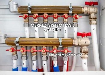 Merkezi Sistem Nasıl Çalışır?