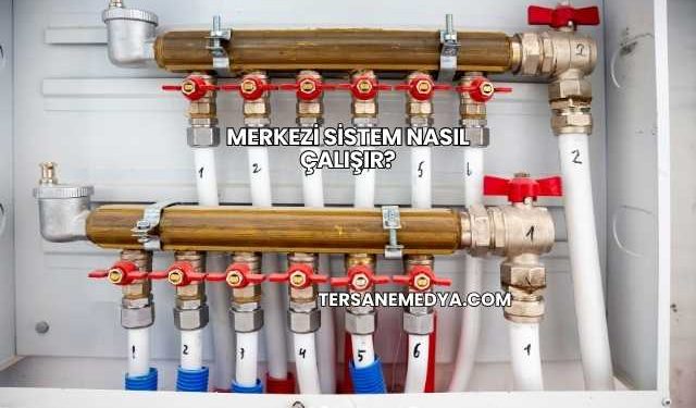 Merkezi Sistem Nasıl Çalışır?