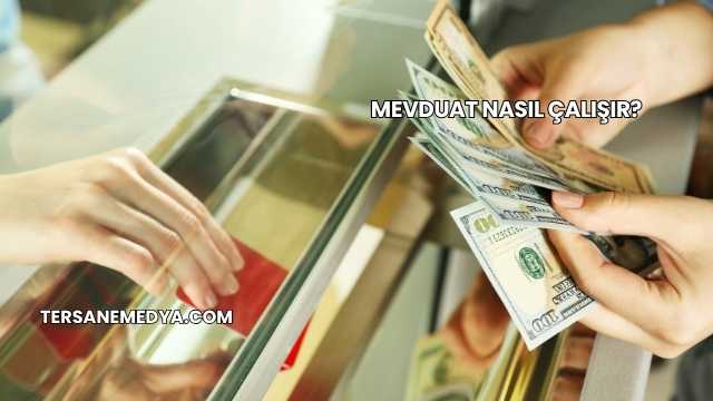 Mevduat Nasıl Çalışır?