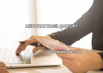 Mevduat Nasıl Çalışır?