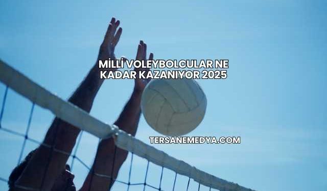 Milli Voleybolcular Ne Kadar Kazanıyor 2025