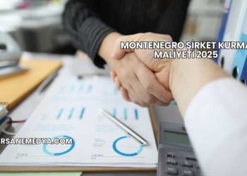 Montenegro Şirket Kurma Maliyeti 2025