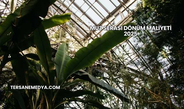 Muz Serası Dönüm Maliyeti 2025