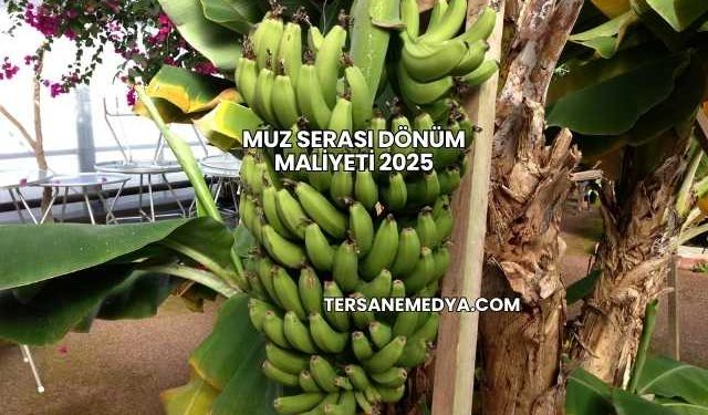 Muz Serası Dönüm Maliyeti 2025