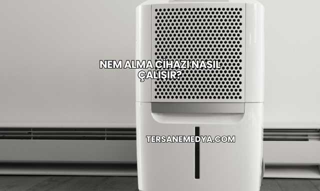Nem Alma Cihazı Nasıl Çalışır?