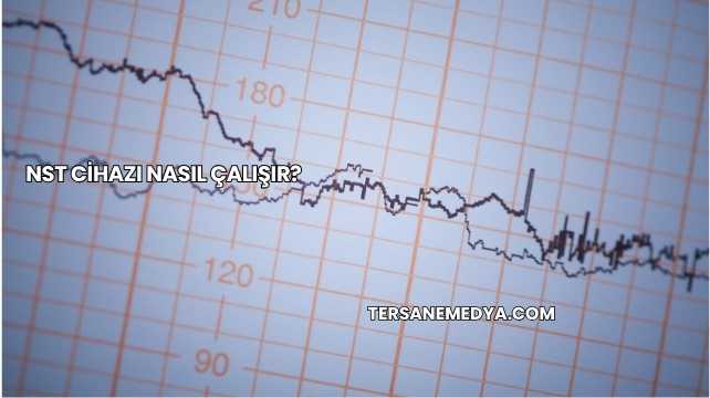Nst Cihazı Nasıl Çalışır?