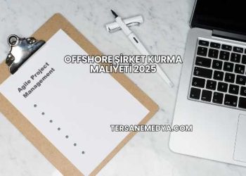 Offshore Şirket Kurma Maliyeti 2025