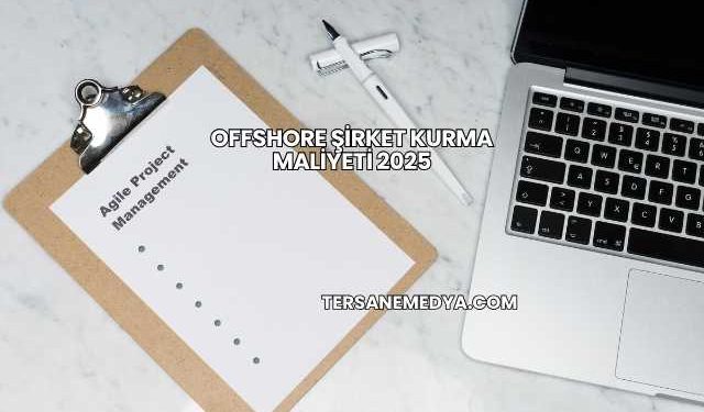 Offshore Şirket Kurma Maliyeti 2025