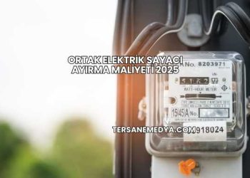 Ortak Elektrik Sayacı Ayırma Maliyeti 2025