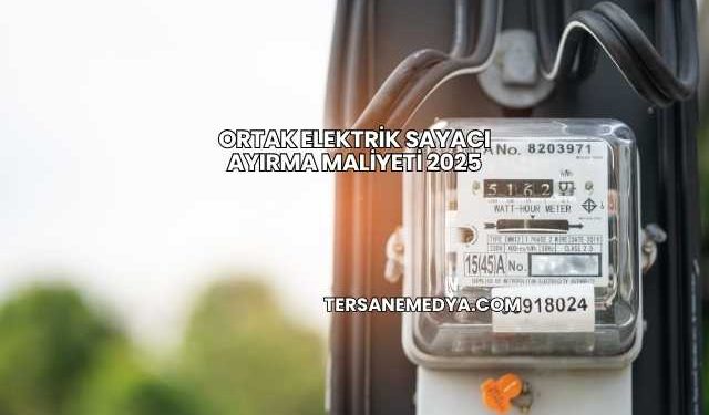 Ortak Elektrik Sayacı Ayırma Maliyeti 2025