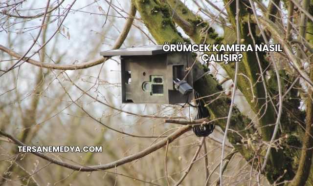 Örümcek Kamera Nasıl Çalışır?