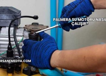 Palmera Su Motoru Nasıl Çalışır?
