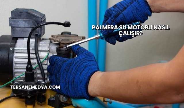 Palmera Su Motoru Nasıl Çalışır?