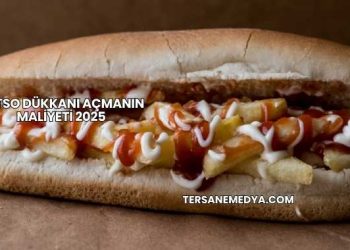 Patso Dükkanı Açmanın Maliyeti 2025