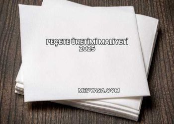 Peçete Üretimi Maliyeti 2025