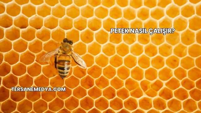Petek Nasıl Çalışır?