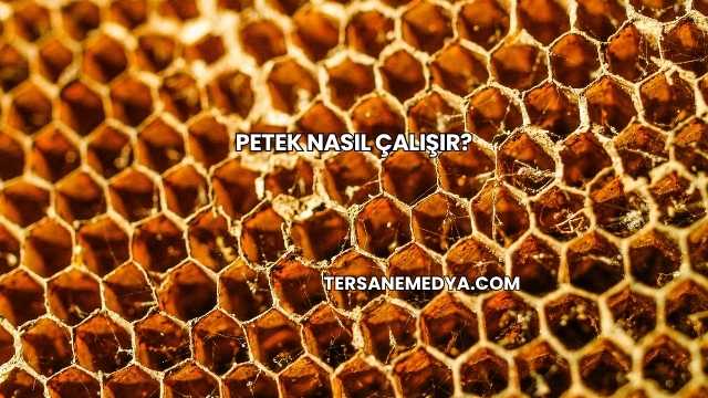 Petek Nasıl Çalışır?