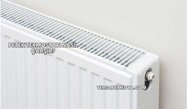 Petek Termostatı Nasıl Çalışır?